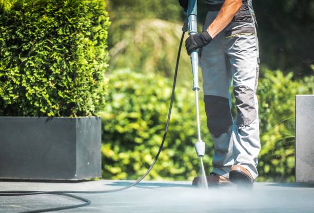 Best Dumpster Area Cleaning  in Cottage Grove, MN