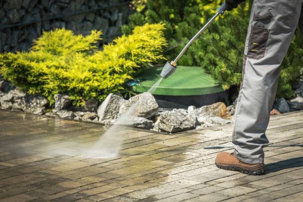 Best Pool Deck Cleaning  in Cottage Grove, MN