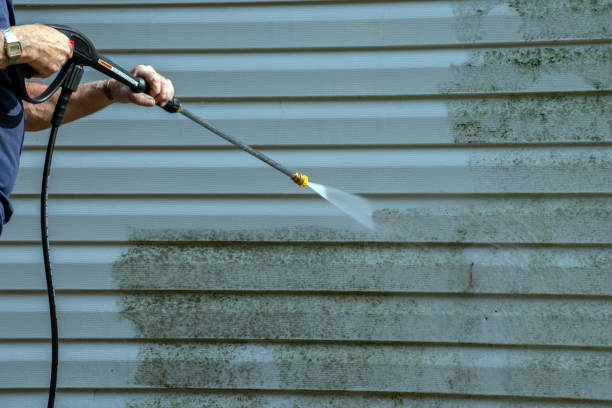 Best Driveway Pressure Washing  in Cottage Grove, MN